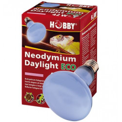 Lampe Hobby "Neodymium...