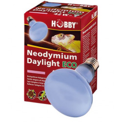 Spot halogène "Neodymium...